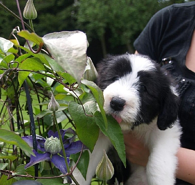 Lilli 7 Dienstag 112.jpg